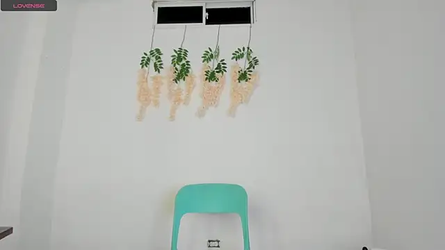 Snapshot of Ally_Parkeer_ chatting on December 3, 2025, 11:25 pm Ally Parkeer online show from December 3, 2025, 11:25 pm