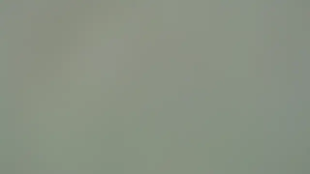 Snapshot of Eban_Dustan chatting on January 7, 2025, 9:57 pm Eban Dustan online show from January 7, 2025, 9:57 pm