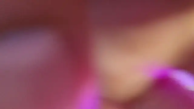 haileycat online show from September 17, 2025, 11:51 pm