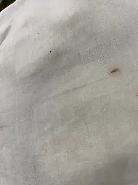 Snapshot of elSexi chatting on December 2, 2025, 1:17 am elSexi online show from December 2, 2025, 1:17 am