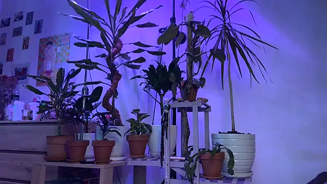 PaulaPratt online show from September 13, 2025, 6:57 am