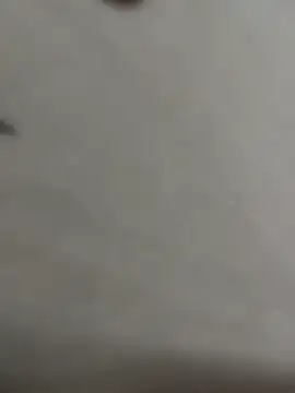 luara1988 online show from April 10, 2026, 1:12 am