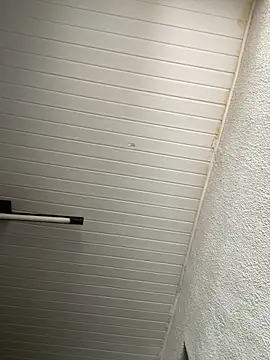 luara1988 online show from November 12, 2025, 12:31 pm