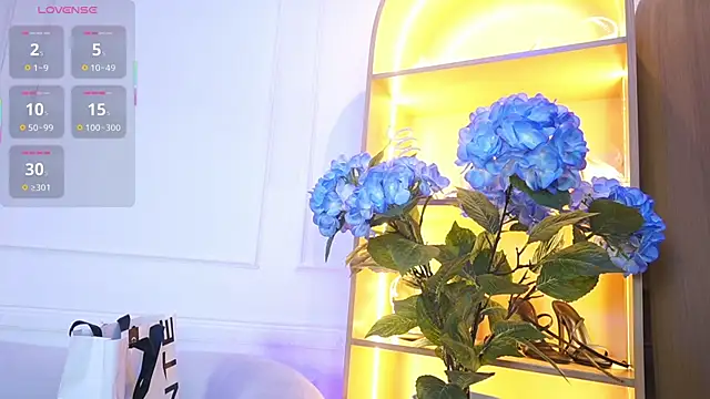 elasummer online show from November 28, 2025, 11:54 am