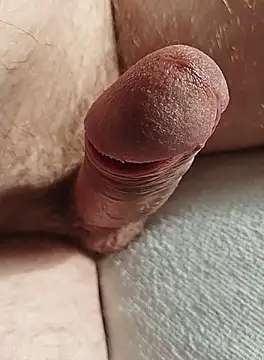 Snapshot of Stripchatsek chatting on October 1, 2025, 8:30 am Stripchatsek online show from October 1, 2025, 8:30 am