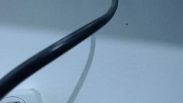 Snapshot of Hanna_Fox_69 chatting on February 28, 2025, 7:37 am Hanna Fox 69 online show from February 28, 2025, 7:37 am