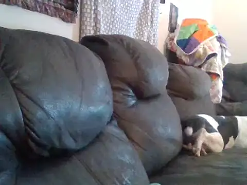 Snapshot of IvanaPlenty chatting on February 1, 2025, 12:15 pm IvanaPlenty online show from February 1, 2025, 12:15 pm