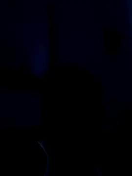 KrishnaDevaraya online show from January 28, 2025, 5:24 pm