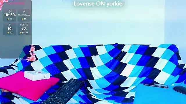 Yorkdirty online show from September 15, 2025, 10:21 pm