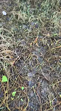 tamil000000 online show from March 16, 2025, 1:38 am