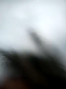 Snapshot of andres599 chatting on January 9, 2025, 5:22 pm andres599 online show from January 9, 2025, 5:22 pm