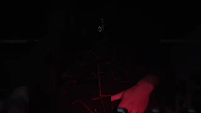 contemptumundi888 online show from February 4, 2025, 8:49 pm