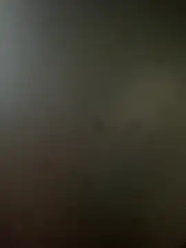 RicarBer online show from October 25, 2025, 5:24 pm