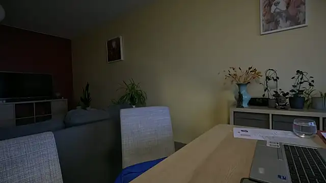 Snapshot of SexyExclusiveflower chatting on November 28, 2025, 8:03 am SexyExclusiveflower online show from November 28, 2025, 8:03 am