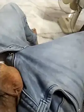 PracticalGum40 online show from March 7, 2026, 1:16 pm