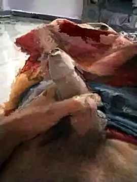 PracticalGum40 online show from November 20, 2025, 5:24 pm