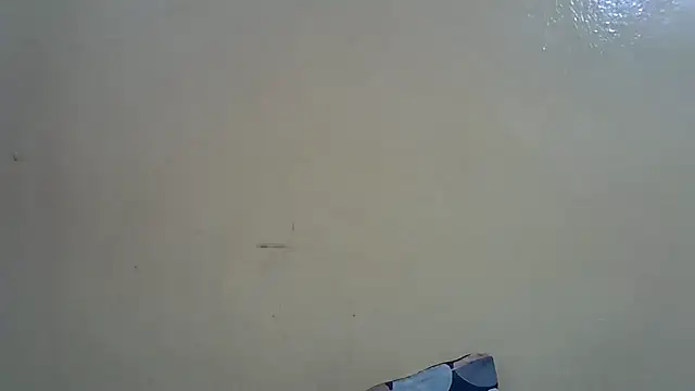 Harrisamor online show from October 21, 2025, 9:14 pm