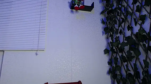 Jasson kingg online show from December 20, 2024, 3:14 am