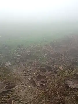 imissyoumylove14 online show from January 17, 2026, 1:31 am