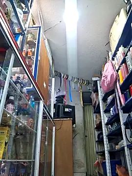 Snapshot of nidia2026 chatting on November 20, 2025, 3:34 pm nidia2026 online show from November 20, 2025, 3:34 pm