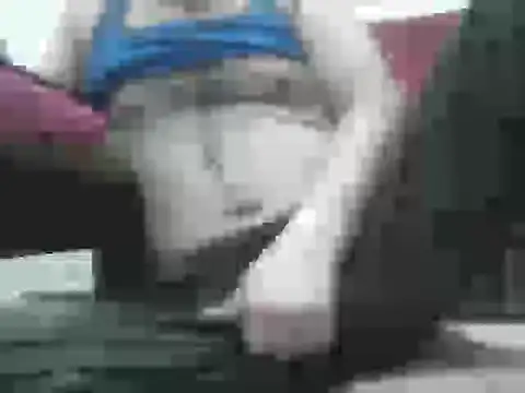 samee00721 online show from September 15, 2025, 4:40 pm