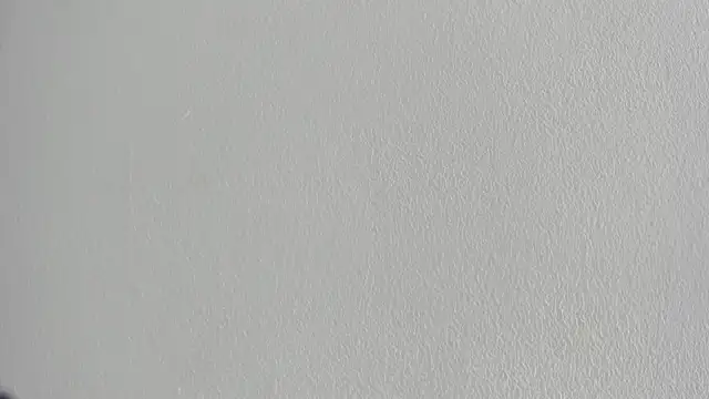 briannaduque online show from September 20, 2025, 6:57 pm