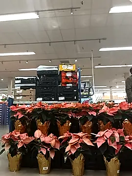 kobrashekyng online show from November 14, 2025, 3:37 pm