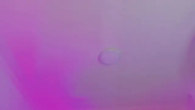 Snapshot of AlliJadid chatting on November 19, 2025, 11:21 am AlliJadid online show from November 19, 2025, 11:21 am