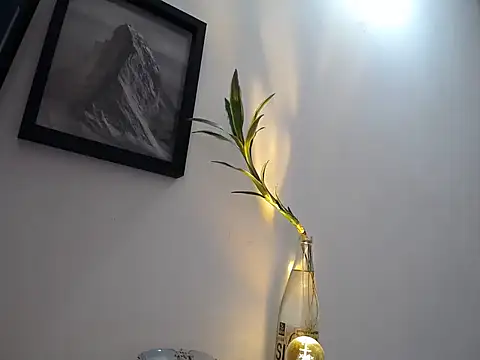 aria jhonsson online show from January 10, 2026, 3:51 pm