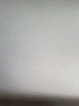 Kakabiraji online show from February 11, 2025, 11:31 am