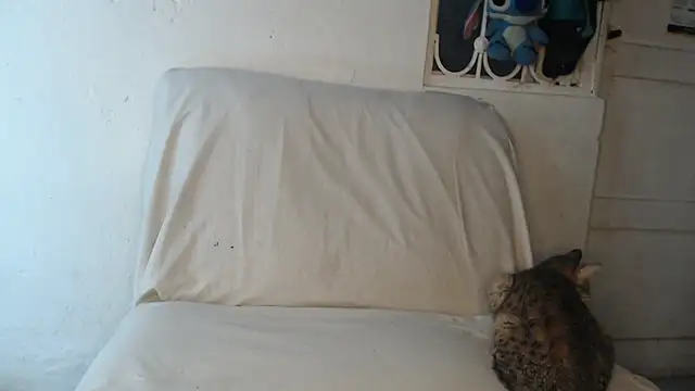 pervertsteens3 online show from October 24, 2025, 4:55 am