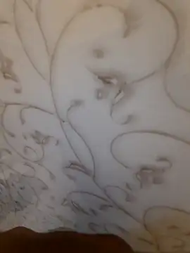 Ritikdesi online show from February 14, 2025, 2:18 am