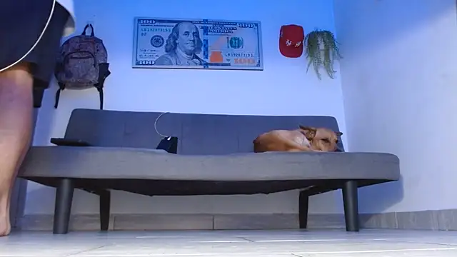 Snapshot of boss_of_cash chatting on May 14, 2026, 12:07 am boss of cash online show from May 14, 2026, 12:07 am