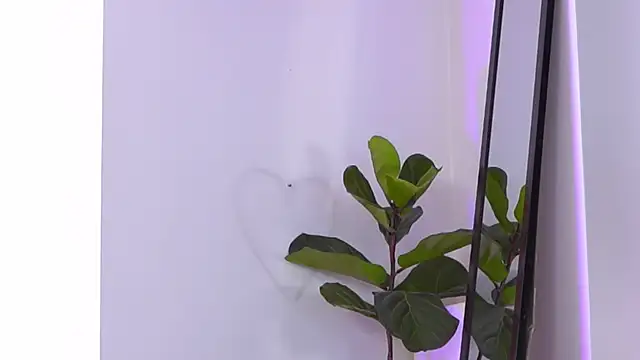 Jenna Day online show from October 21, 2025, 9:09 am