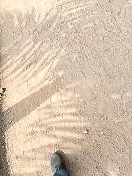 chootkapyasa007 online show from October 29, 2025, 6:56 am