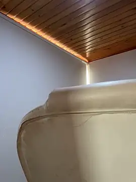 Snapshot of Adeellee_ chatting on December 21, 2025, 3:14 pm Adeellee online show from December 21, 2025, 3:14 pm