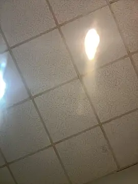 meximaloo1 online show from April 24, 2026, 10:56 pm