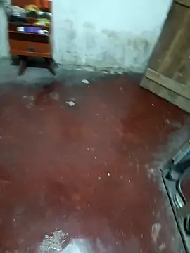 shenLytle online show from October 2, 2025, 7:50 pm