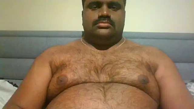 Snapshot of indianbearbot chatting on December 15, 2024, 8:25 pm indianbearbot online show from December 15, 2024, 8:25 pm