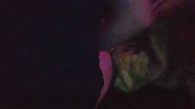 haley aris2883 online show from November 5, 2025, 9:34 am