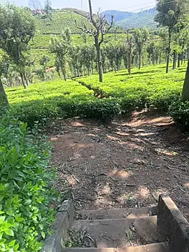 Hillz king 98 online show from February 28, 2025, 3:37 am