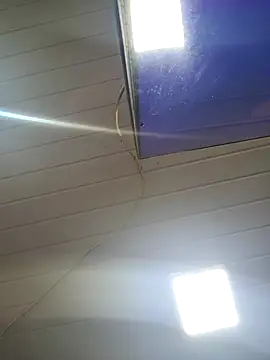 Snapshot of ppatriciarabello chatting on November 24, 2025, 3:56 pm ppatriciarabello online show from November 24, 2025, 3:56 pm