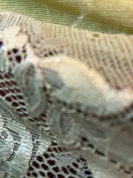 Snapshot of honeyboobies7249 chatting on February 22, 2026, 7:37 pm honeyboobies7249 online show from February 22, 2026, 7:37 pm