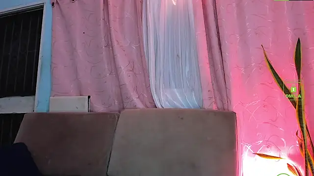 milktitsdua online show from November 19, 2025, 8:14 am