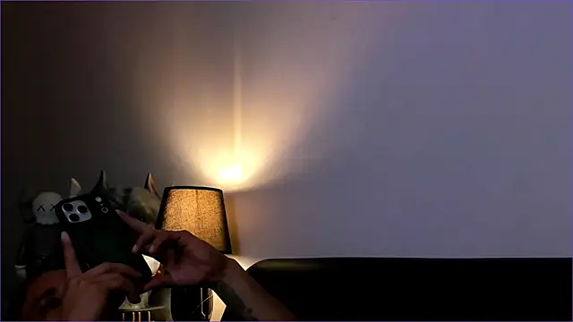 Snapshot of BradLeon_ chatting on January 11, 2026, 1:01 am BradLeon online show from January 11, 2026, 1:01 am