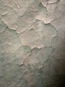 Guru2 online show from January 16, 2026, 10:52 am