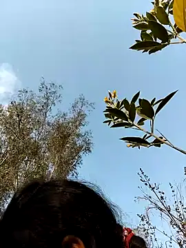 sweet suman online show from February 19, 2025, 2:33 am