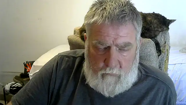 viejo oso online show from March 20, 2026, 9:38 pm