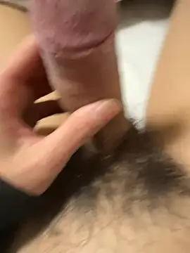 toto3119 online show from January 1, 2025, 11:27 am