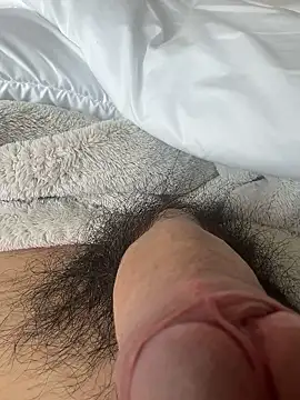 toto3119 online show from February 5, 2026, 11:11 pm